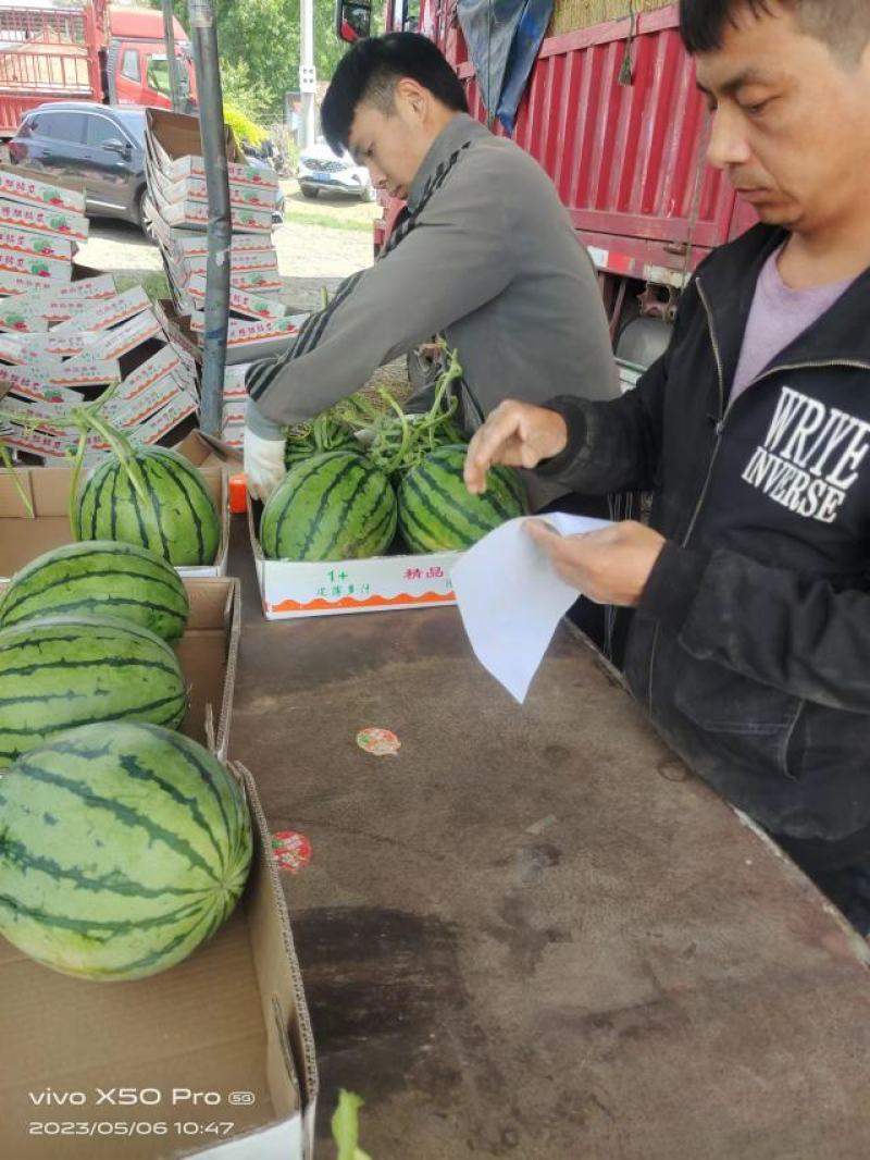 精品甜王西瓜10斤打底9成熟13个糖产地直供价格便宜