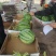 精品甜王西瓜10斤打底9成熟13个糖产地直供价格便宜