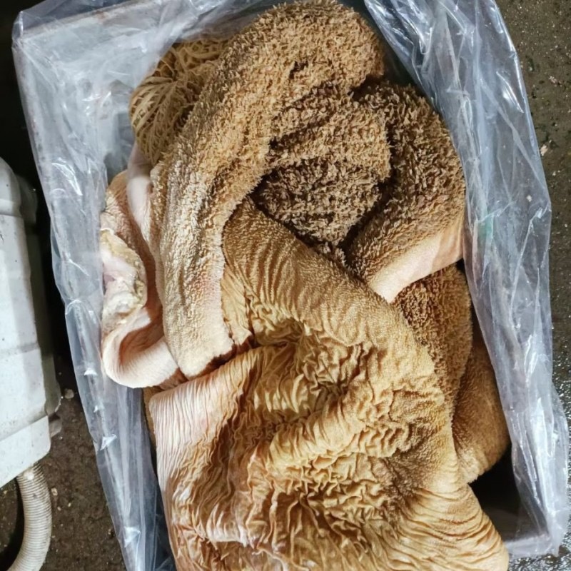 去油生牛肚去低油很干净需要的老板联系
