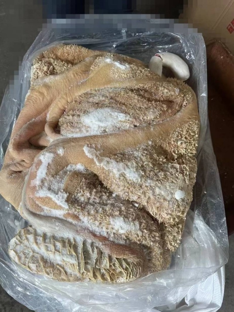 去油生牛肚去低油很干净需要的老板联系