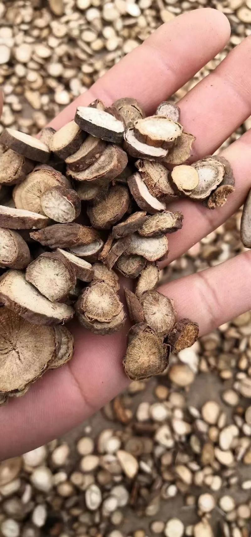 赤芍地骨皮京赤芍家种赤芍山赤芍投料