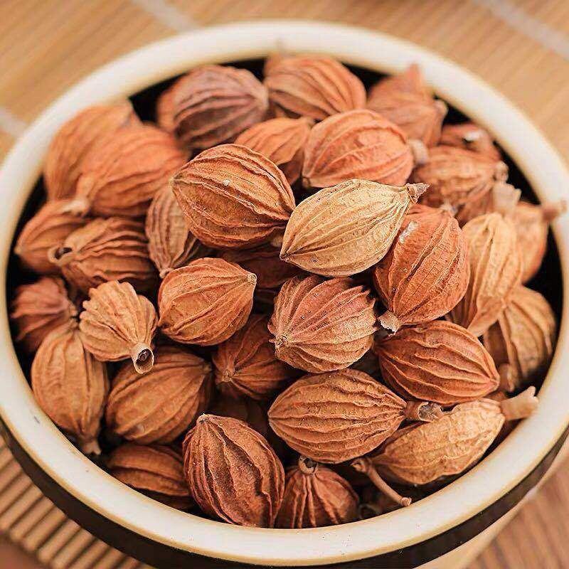 新货香砂仁川砂仁金沙仁粉卤肉香料调料包炖肉火锅底料厨房调