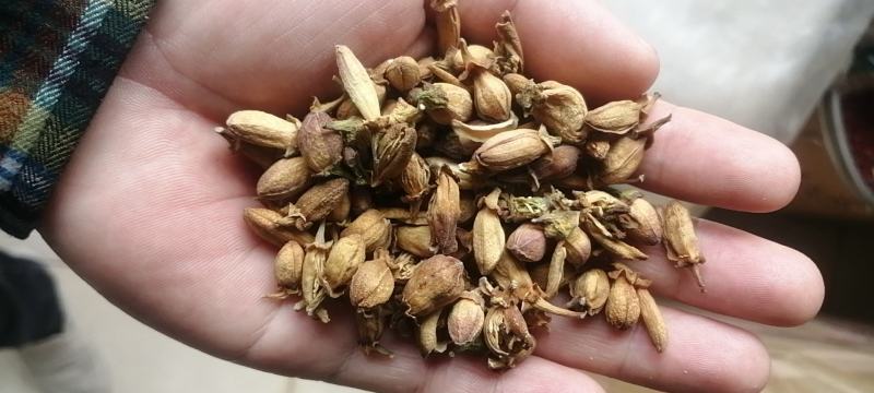 佛手花干货无硫农副产品不满意可退换货