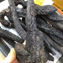 锁阳肉苁蓉大芸野生肉苁蓉