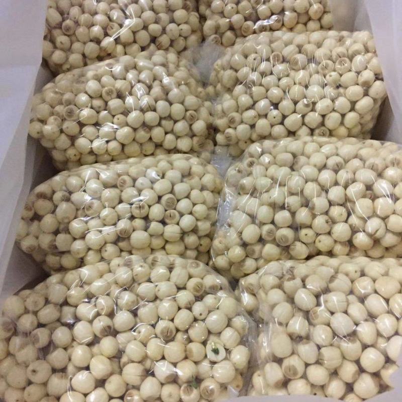 杭州鲜莲蓬嫩莲蓬大量供应发货臻熙农业基地直供