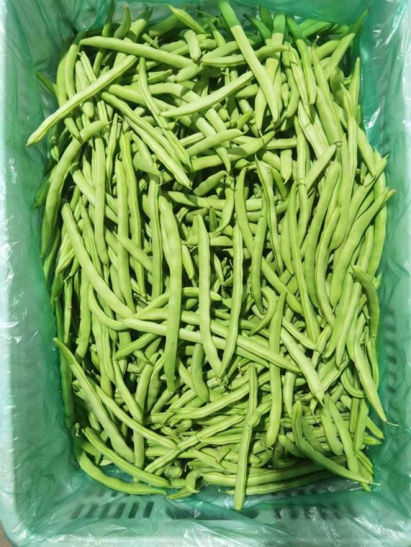 四季豆刀豆芸豆