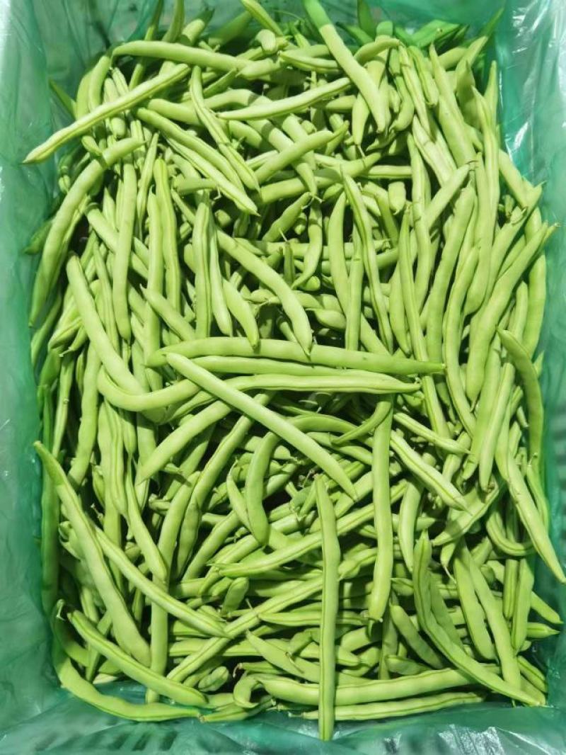 四季豆刀豆芸豆