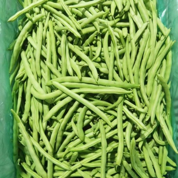 四季豆刀豆芸豆