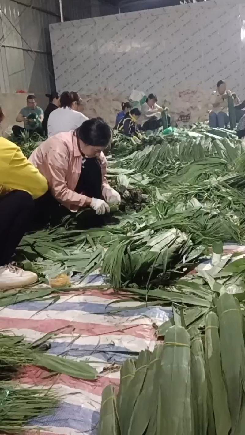 沅江市洞庭湖芦苇叶