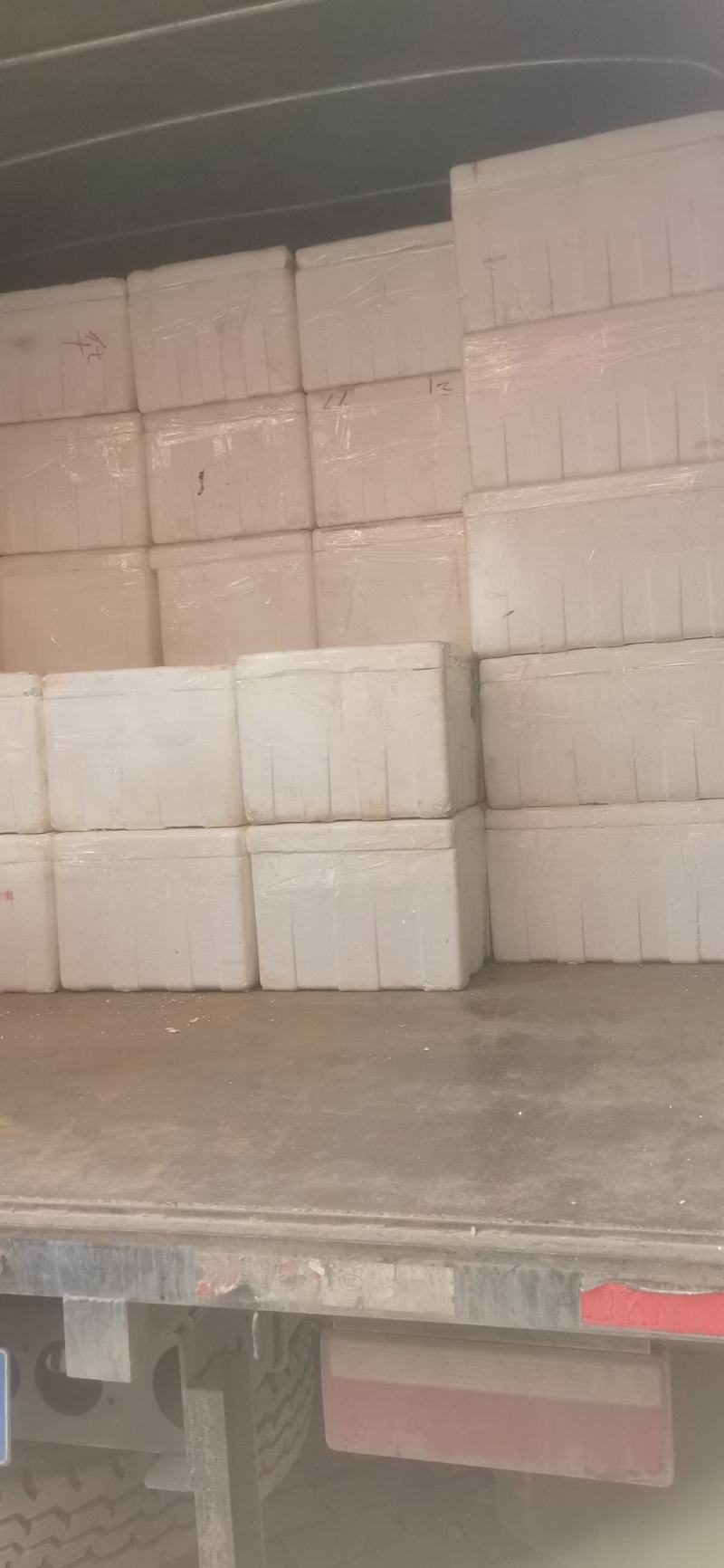 福建省大量供应鲜莲蓬原产地直接供货嫩莲蓬