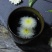 菊花，金丝皇菊，杭白菊，黄山贡菊，胎菊，各种菊花。