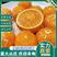 畅销伦晚果冻橙中华红夏橙对接超市社团电商平台