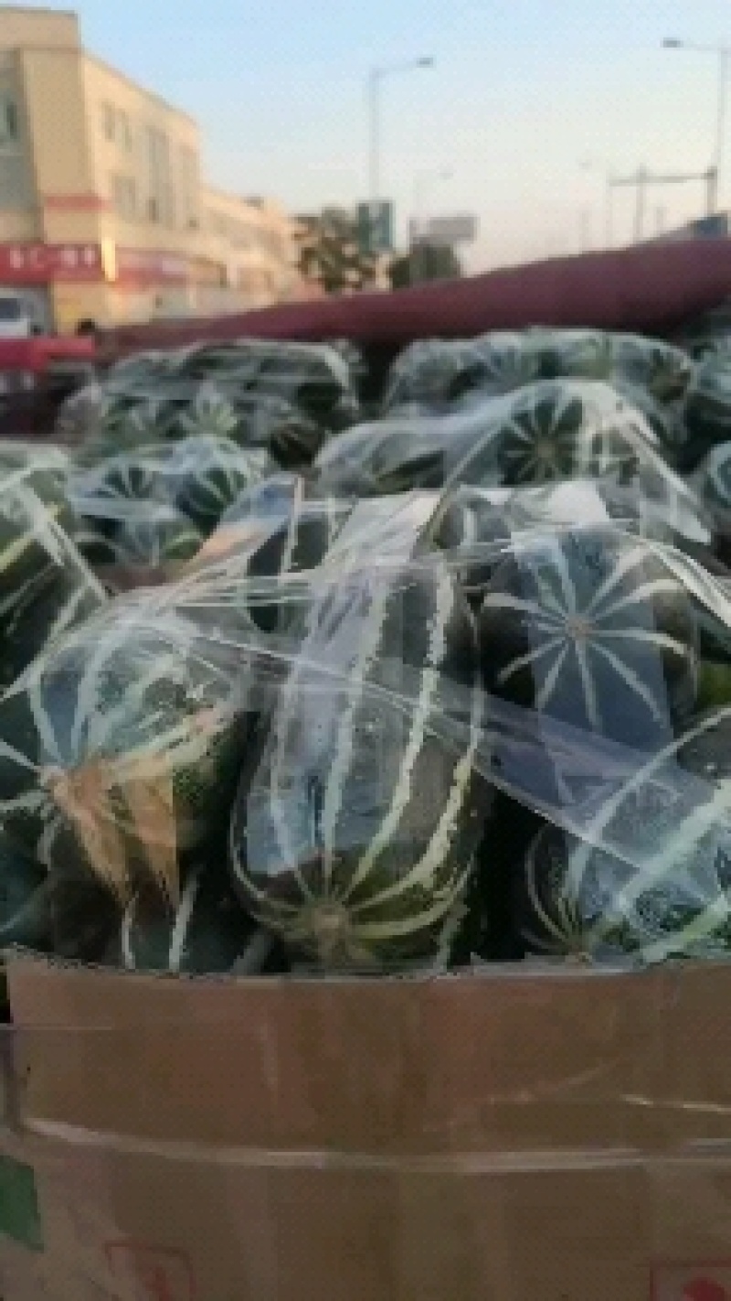 博洋甜瓜/安阳甜瓜/货量充足/价格优惠诚信经营欢迎来