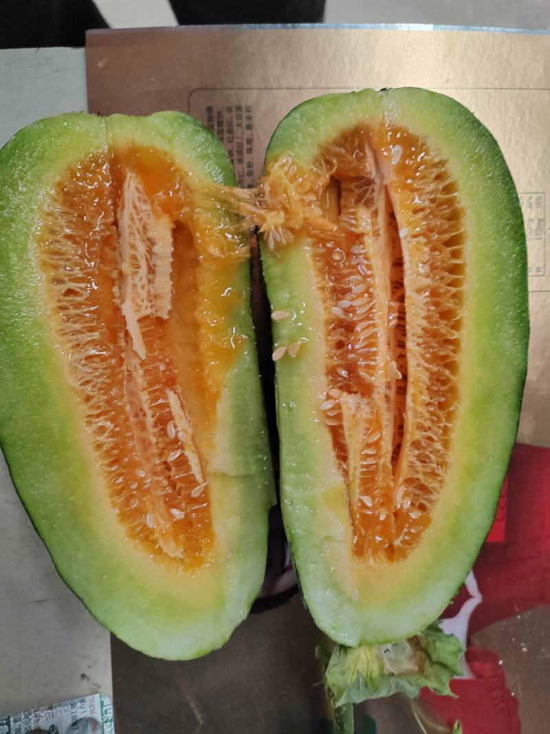 博洋甜瓜/安阳甜瓜/货量充足/价格优惠诚信经营欢迎来