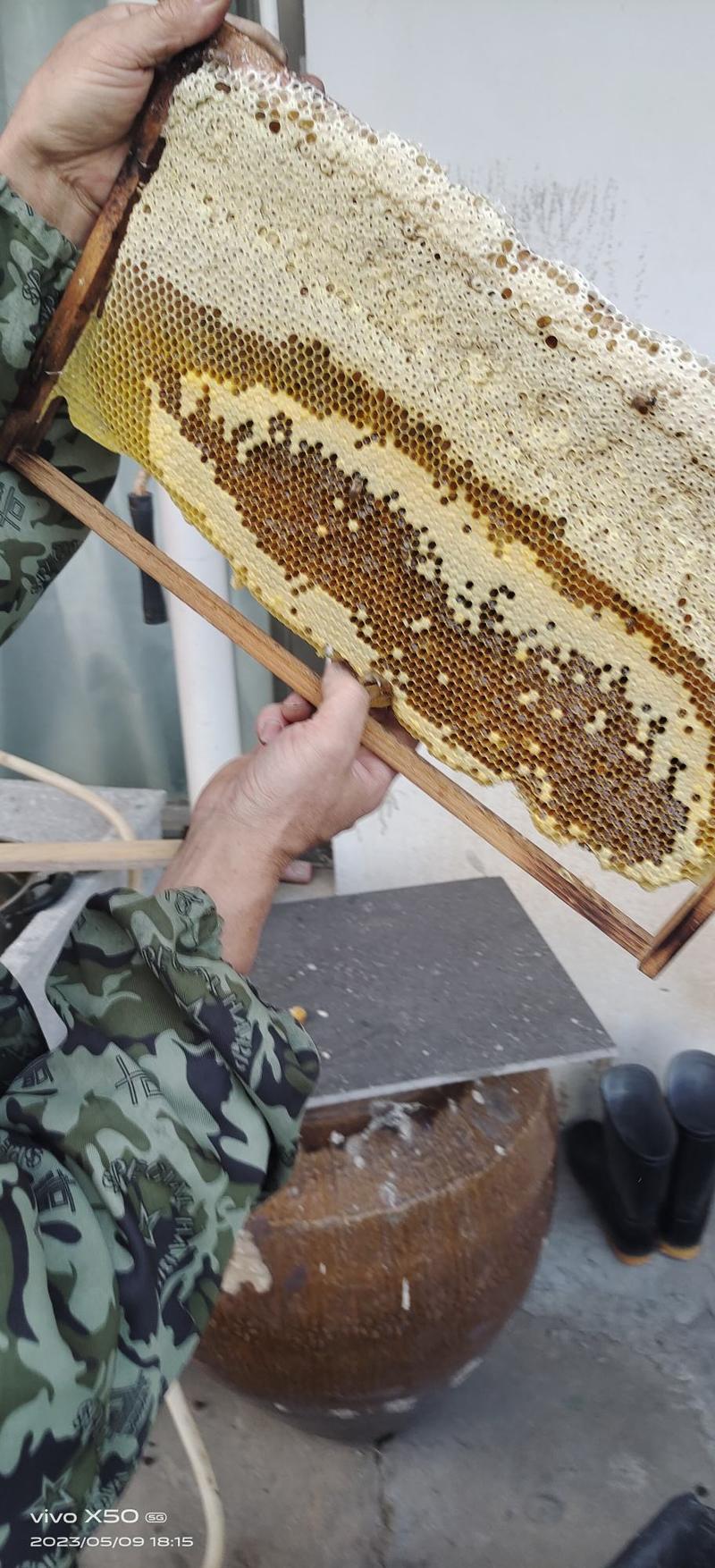 中蜂蜂蜜，自家养殖，一手货源，质量保证，量大从优