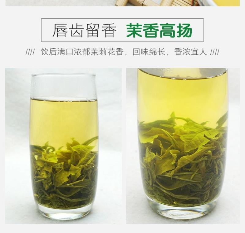 天王茉莉龙珠100g茉莉花茶新茶特级浓香型横县原产花茶散