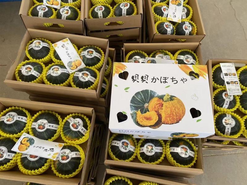 寿光本地发货一手货源大量现货品质保证