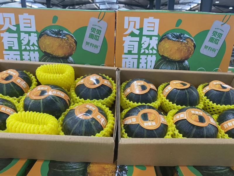 寿光本地发货一手货源大量现货品质保证