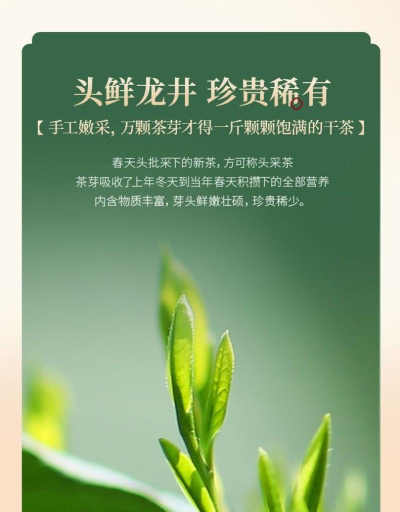 2023年新茶上市狮峰牌绿茶头采龙井茶叶明前特级正宗春茶