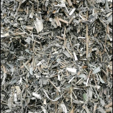 黄荆，杜荆