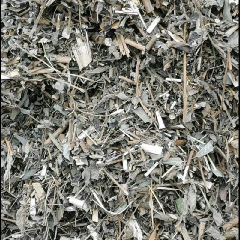 黄荆，杜荆