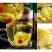 菊花茶胎菊正宗桐乡正品杭白菊花干贡菊金银花泡水