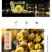 菊花茶胎菊正宗桐乡正品杭白菊花干贡菊金银花泡水