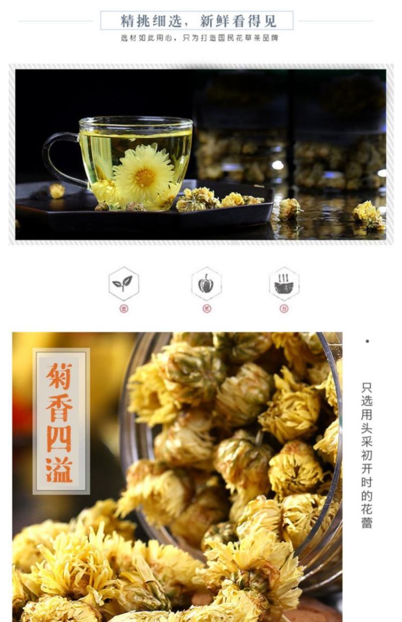 菊花茶胎菊正宗桐乡正品杭白菊花干贡菊金银花泡水