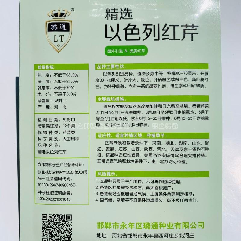 国外引进优质红芹种籽营养丰富粉红色芹菜种子红根芹菜种子