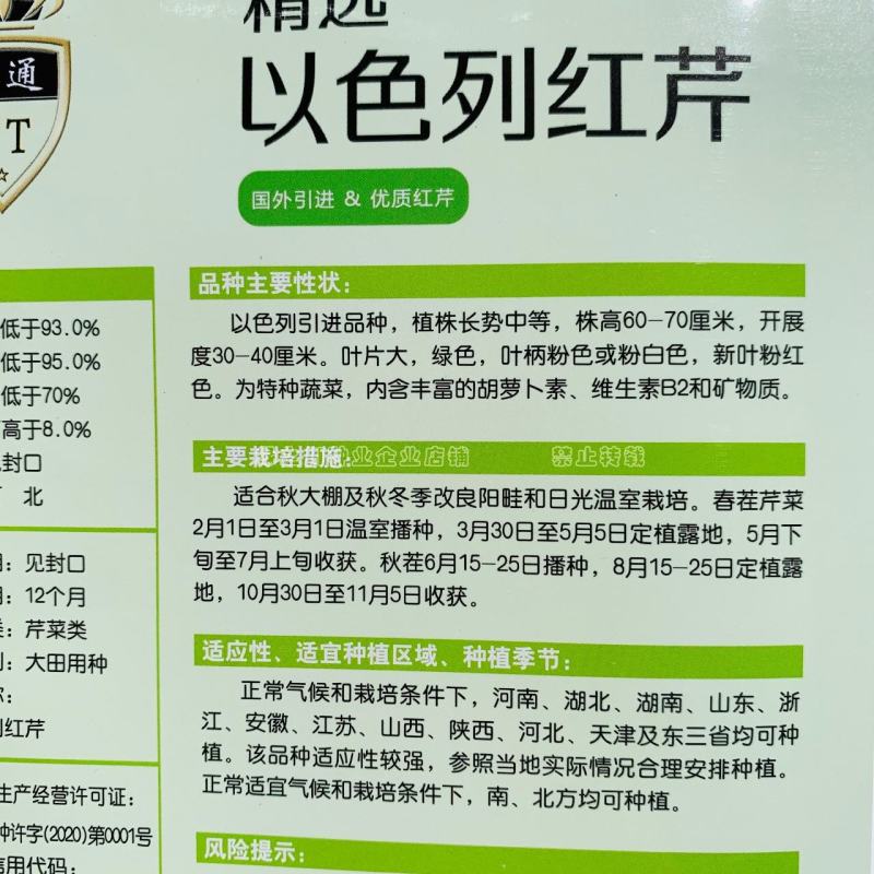 国外引进优质红芹种籽营养丰富粉红色芹菜种子红根芹菜种子