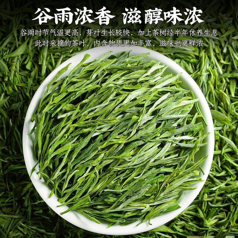 陈一凡黄山毛峰2023年新茶茶叶绿茶雨前茶一级春茶