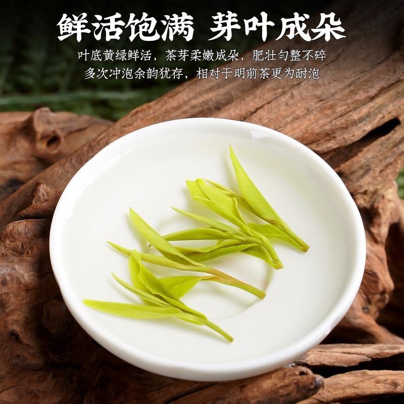 陈一凡黄山毛峰2023年新茶茶叶绿茶雨前茶一级春茶