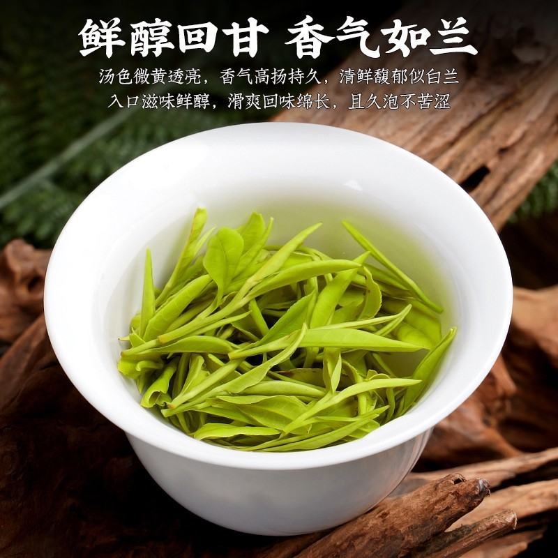 陈一凡黄山毛峰2023年新茶茶叶绿茶雨前茶一级春茶