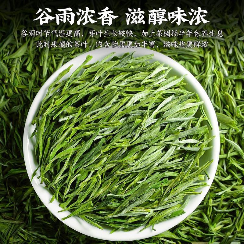 陈一凡黄山毛峰2023年新茶茶叶绿茶雨前茶一级春茶