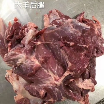 羔羊后腿肉厂家直发一手货源批发品质保证价格美丽