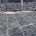 福建莆田干海带无沙批发零售自厂