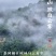 五虎高山云雾绿茶2022年新茶茶叶自己喝特级云雾茶春茶毛