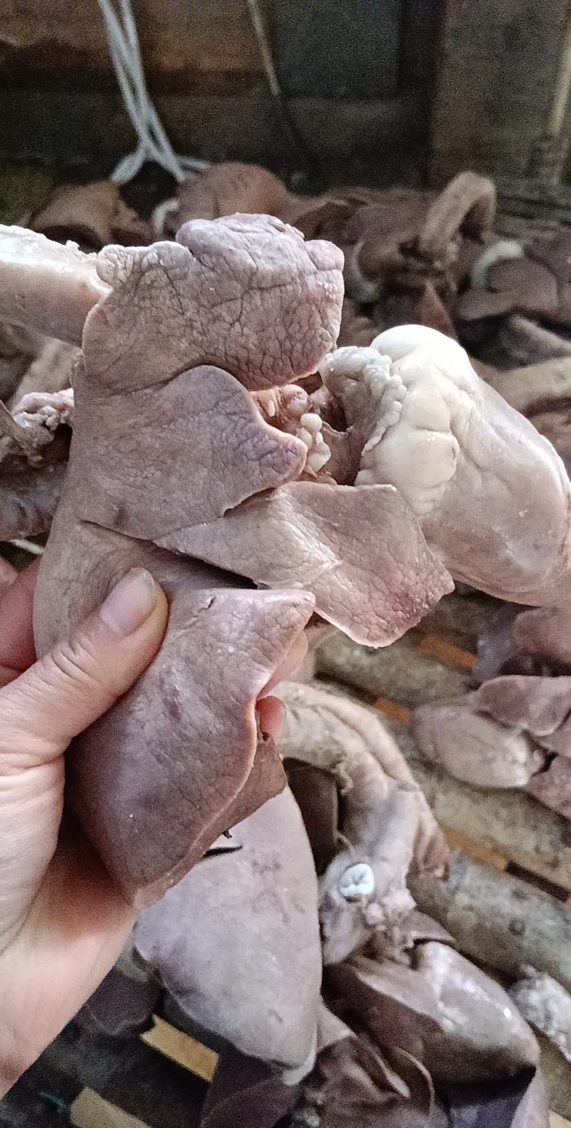 羊肺…羊杂汤羊杂全套加热即食羊肉真空加热