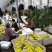 吊瓜羊角蜜甜瓜大量上市中电商品质欢迎客商电话订货