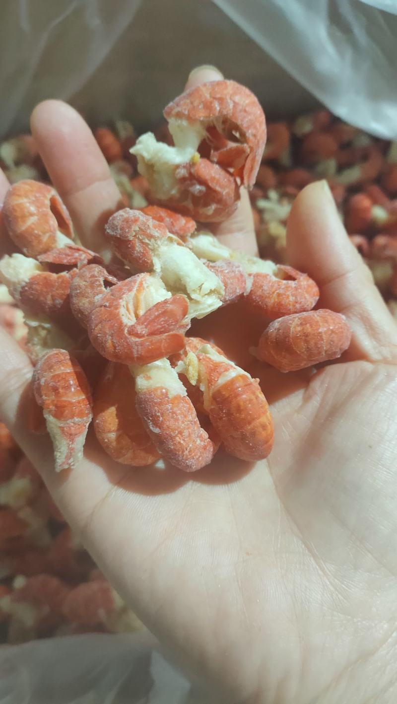 精品二级原料虾尾175粒左右