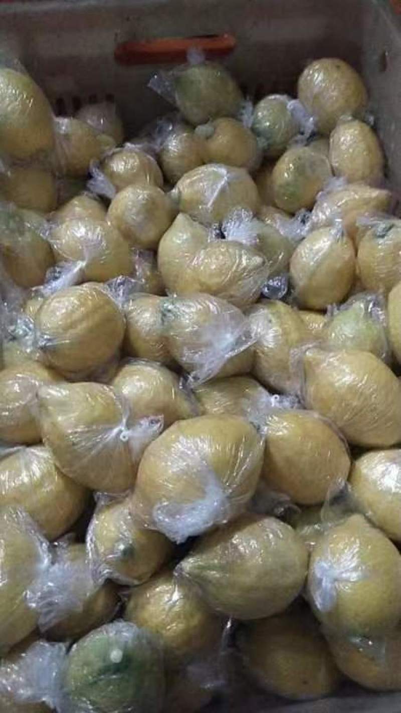 广东黄柠檬精品香水柠檬大量上市产地直发品质好欢迎致电