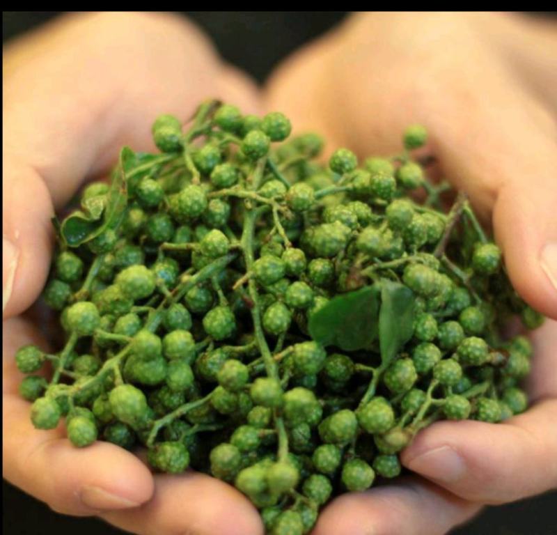 湖北鲜花椒，原产地直发，质量保证，物美价廉欢迎选购～
