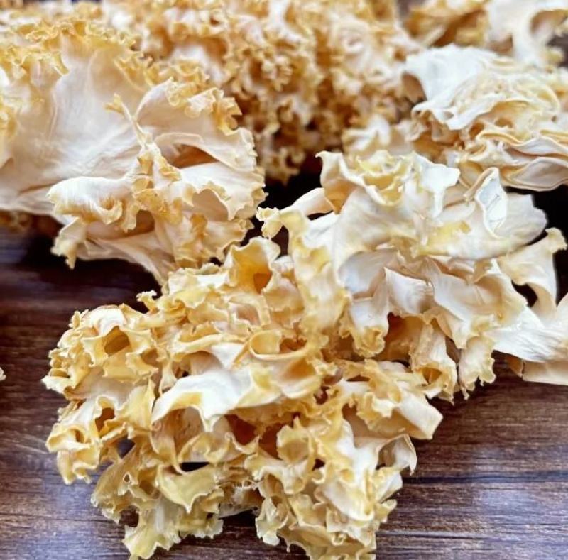 中国食用菌之都古田食用菌批发绣球菌干品大量现货供应一级