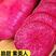 潍坊紫美人萝卜产地直供支持一件代发欢迎电话咨询采购