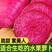 潍坊紫美人萝卜产地直供支持一件代发欢迎电话咨询采购
