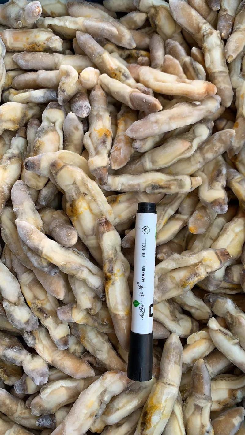 新鲜蛏王肉冷冻竹节蛏子现剥海捕蛏子肉贝类海鲜