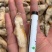新鲜蛏王肉冷冻竹节蛏子现剥海捕蛏子肉贝类海鲜
