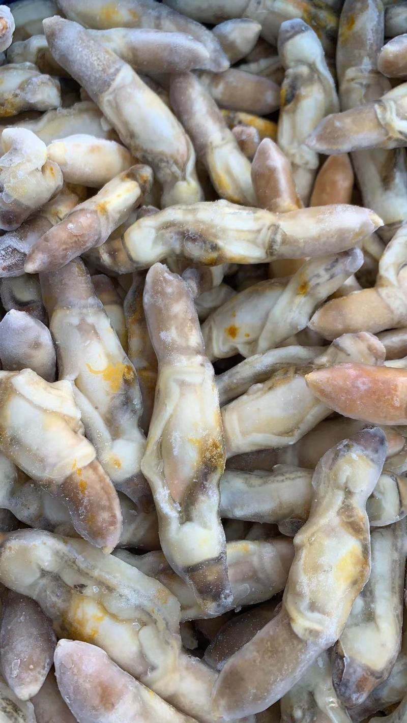 新鲜蛏王肉冷冻竹节蛏子现剥海捕蛏子肉贝类海鲜