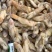 新鲜蛏王肉冷冻竹节蛏子现剥海捕蛏子肉贝类海鲜