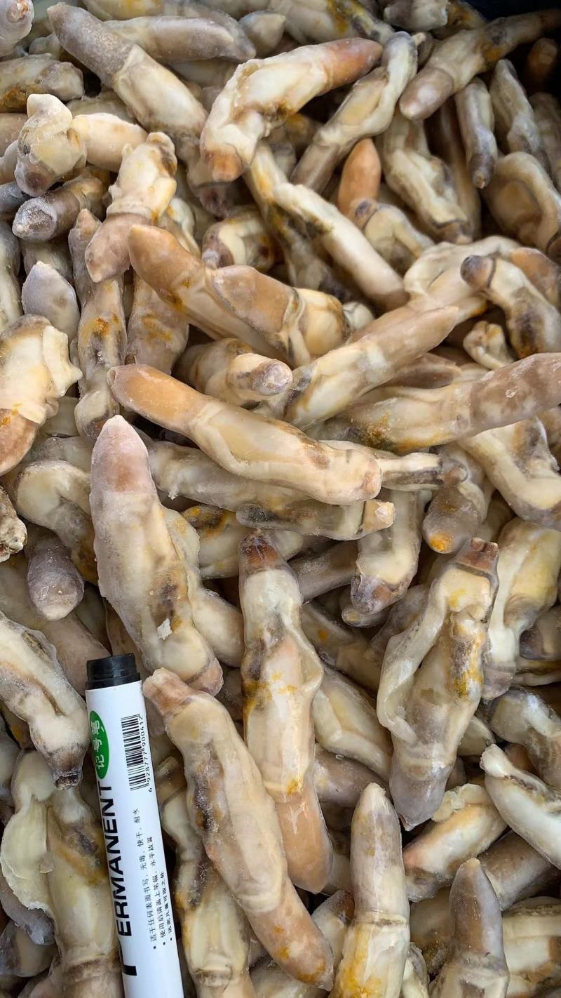 新鲜蛏王肉冷冻竹节蛏子现剥海捕蛏子肉贝类海鲜